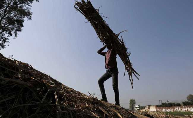 Madhya Pradesh Farmer Gets Rs 13 Instead Of Rs 24,000 Loan Waiver