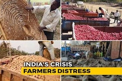 Does Farmers' Distress End Post Farm Loan Waivers? Does Farmers' Distress End Post Farm Loan Waivers?