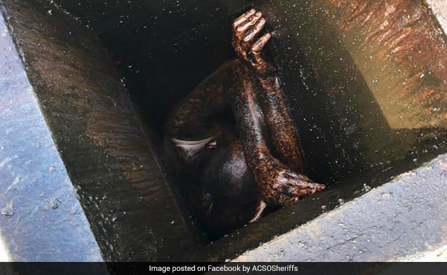 Burglary Suspect Gets Stuck In Restaurant Grease Vent For 2 Days