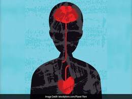 Speaking Two Languages May Help The Aging Brain Speaking Two Languages May Help The Aging Brain