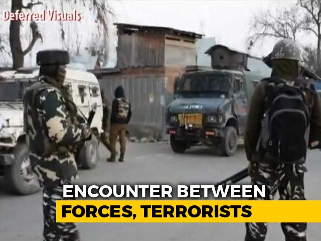 4 Terrorists Shot Dead In Encounter With Security Forces In J&K's Pulwama