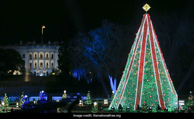 Donations Save National Christmas Tree From Darkness Amid US Shutdown