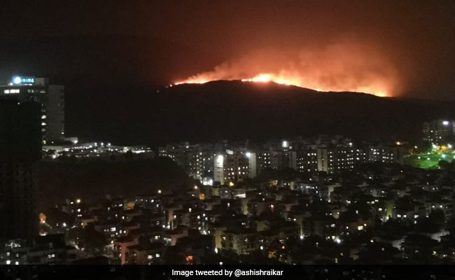 4 Km-Wide Mumbai Forest Fire Doused Before It Reached Residential Areas
