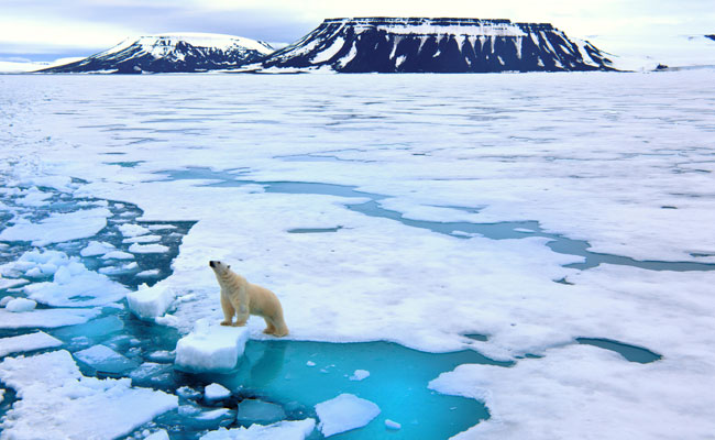 All You Should Know About That Big Climate Meet, COP 24
