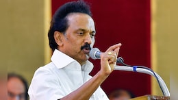 Opinion | The Rise Of Vijay, The Fall Of Stalin - And A Puzzle For Palaniswami