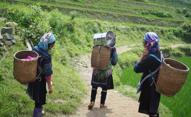"<i>Chaiwala</i> PM Doing This To His Community?": Assam Tea Body's Attack