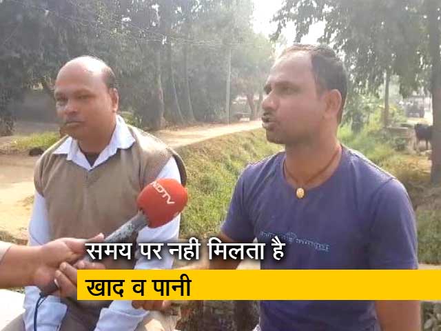 बिहार में पानी की कमी से बर्बाद हुई धान