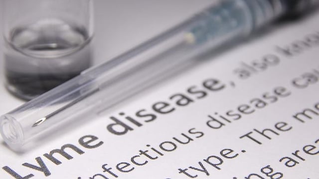 Lyme disease is a bacterial infection, antibiotics are the main treatment for Lyme disease