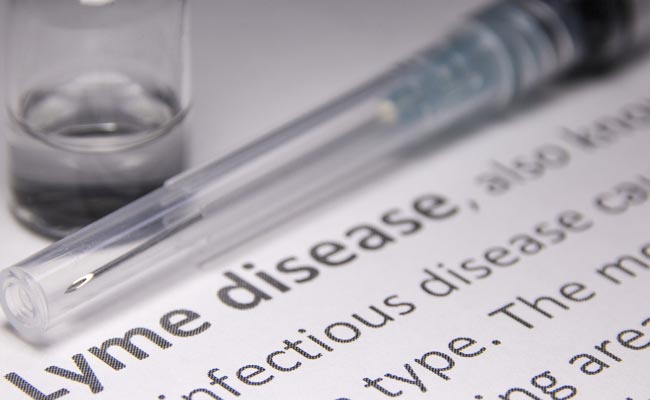 Lyme disease is a bacterial infection, antibiotics are the main treatment for Lyme disease