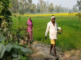 गुजरात के किसानों ने उगाई आलू की खास किस्म, तो अमेरिकी कंपनी ने ठोंका दावा गुजरात के किसानों ने उगाई आलू की खास किस्म, तो अमेरिकी कंपनी ने ठोंका दावा