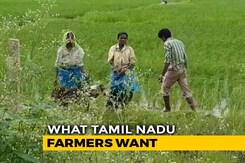 Tamil Nadu Farmers Speak To NDTV On Their Struggles Tamil Nadu Farmers Speak To NDTV On Their Struggles
