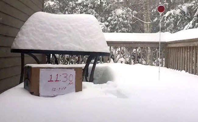 About 300,000 Without Power In US Southeast After Storm