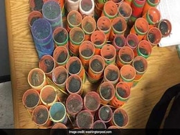 70 Live Birds Hidden Inside Hair Rollers Seized At JFK Airport 70 Live Birds Hidden Inside Hair Rollers Seized At JFK Airport