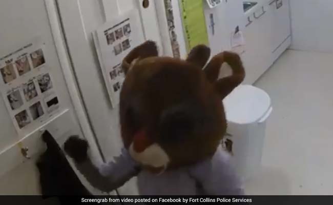 Woman Dons Rudolph The Red-Nosed Reindeer Costume During Burglary