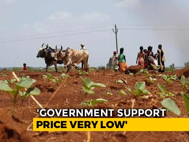 <i>Tareekh Pe Tareekh</i> : Distressed Punjab And Haryana Farmers Run From Pillar To Post