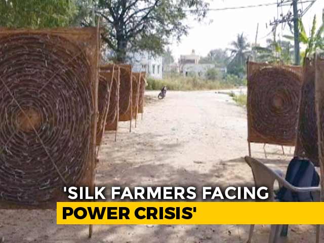 Karnataka's Silk Farmers' Water Worries