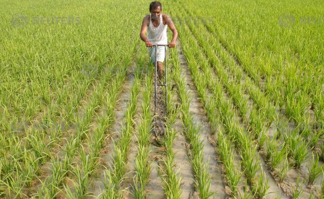 Government Approves Policy To Boost Farm Exports
