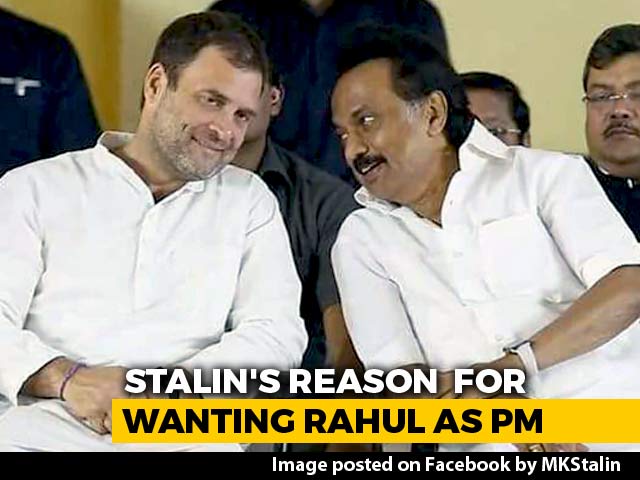 "Rahul Gandhi-For-PM Job Because...": DMK's Stalin Explains Proposal