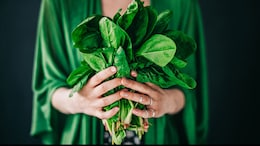 5 Common Indian Foods That May Help Boost Iron Level