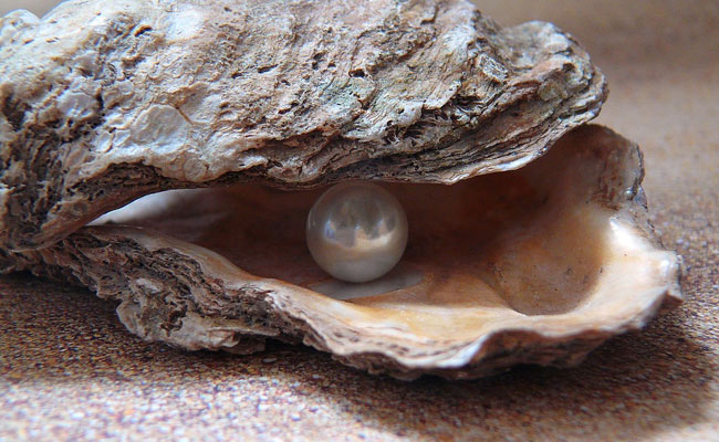 Man Finds Valuable Pearl In Oyster Lunch At Restaurant