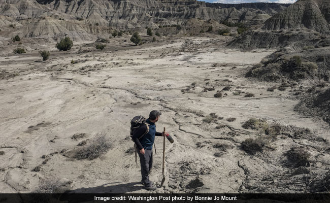 Dinosaurs, Fossils And Experts Studying Them Have Waited For End To US Shutdown