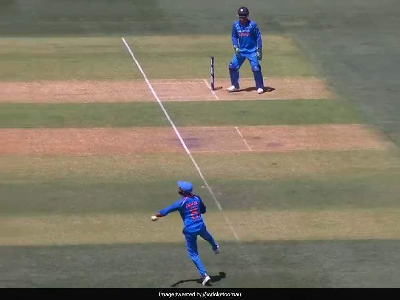Ravindra Jadeja's Sharp Throw To Dismiss Usman Khawaja Is Making Waves. Watch