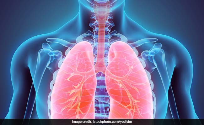 Lung Health: Eat These 7 Superfoods To Boost Your Lung Health