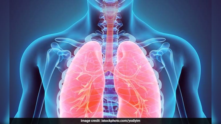 World Lung Day 2025: जानें - फेफड़ों की बीमारी के बारे में, क्या है इसके लक्षण और कारण