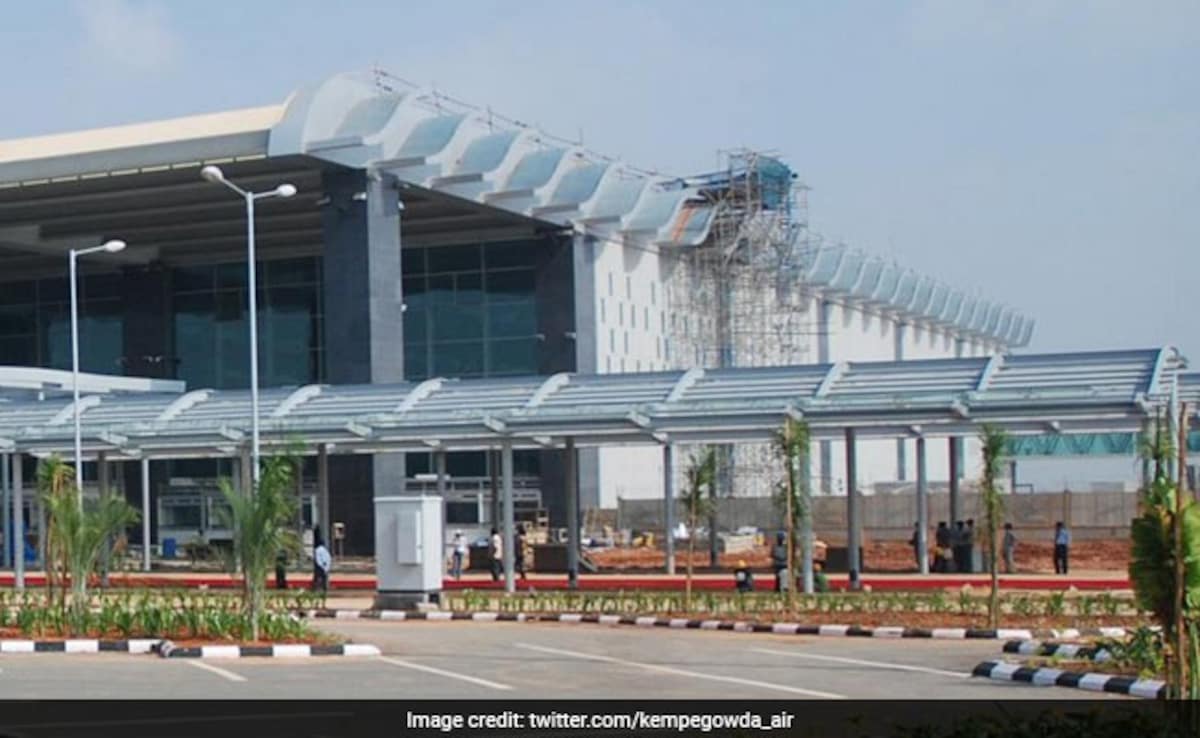 Passenger Arrested With Two Endangered Monkeys At Bengaluru Airport