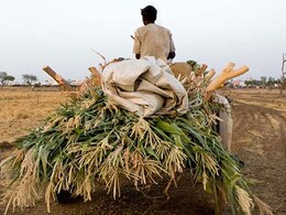 Bihar Officials Stunned As Mobile App Shows Farms In Indian Ocean After Glitch Bihar Officials Stunned As Mobile App Shows Farms In Indian Ocean After Glitch