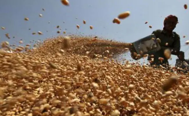 "One Activity Giving Hope Is Agricultural": Centre On Winter Crop Harvest