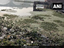 Pollution In Gomti River Causes Devotees To Avoid Holy Dip On Sankranti Pollution In Gomti River Causes Devotees To Avoid Holy Dip On Sankranti