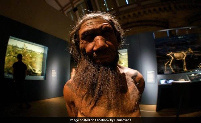 Rare Primitive Humans May Have Made Tools, Jewellery: Study