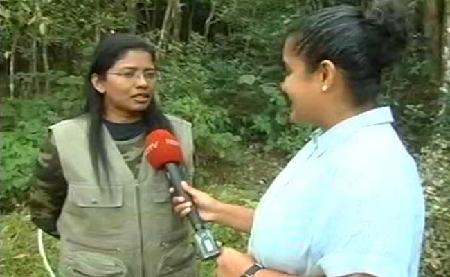 Bureaucrat, 38, First Woman To Trek To Kerala Peak After Court Lifts Ban