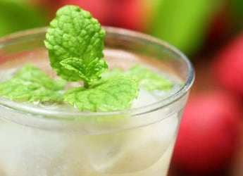 5 Drinkware To Keep Your Favourite Beverage Fresh And Tasty 5 Drinkware To Keep Your Favourite Beverage Fresh And Tasty