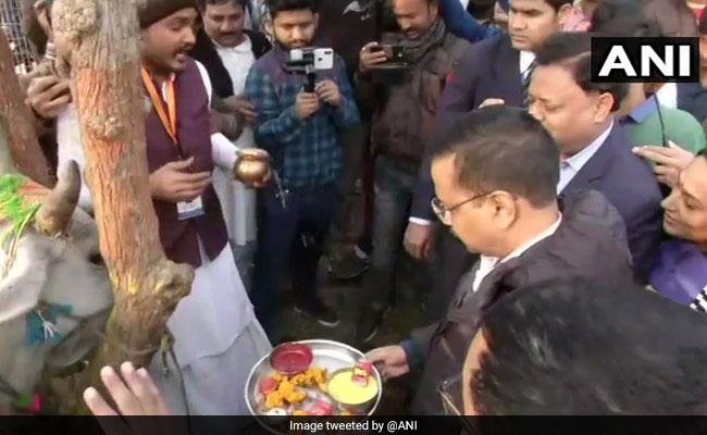 Those Who Seek Votes In Cow's Name Should Provide Fodder: Arvind Kejriwal