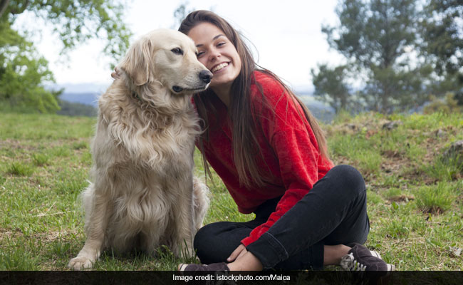 6 Plush Picks To Pamper Your Pooch With