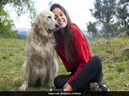 6 Plush Picks To Pamper Your Pooch With 6 Plush Picks To Pamper Your Pooch With