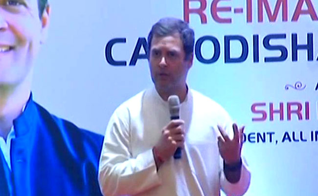 BJP Seeks Rahul Gandhi's Reply On Case Against Congress's Odisha Chief