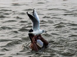 Makar Sankranti 2019: यूपी में 'खिचड़ी' तो उत्तराखंड में 'घुघुतिया', जानिए भारत के अलग-अलग राज्यों में कैसे मनाई जाती है मकर संक्रांति Makar Sankranti 2019: यूपी में 'खिचड़ी' तो उत्तराखंड में 'घुघुतिया', जानिए भारत के अलग-अलग राज्यों में कैसे मनाई जाती है मकर संक्रांति