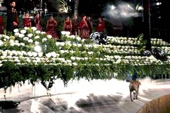 Dog Crashes Sidharth Malhotra's Ramp Walk In Hilarious Video Dog Crashes Sidharth Malhotra's Ramp Walk In Hilarious Video