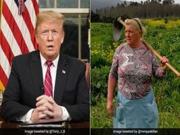 डोनाल्ड ट्रंप की हमशक्ल महिला की PHOTOS वायरल, करती हैं आलू की खेती डोनाल्ड ट्रंप की हमशक्ल महिला की PHOTOS वायरल, करती हैं आलू की खेती