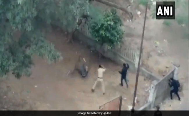 Video : तेंदुए का हमला, दो टेलीविजन कैमरामैन सहित 4 घायल