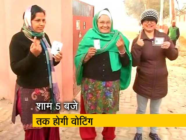 हरियाणा: जींद में मतदान, चौतरफा मुकाबला