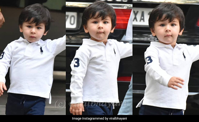 तैमूर अली खान ने फोटोग्राफर्स को देखकर दिया ऐसा रिएक्शन, क्यूट Video से नजरें हटाना मुश्किल