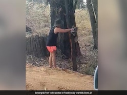 साल का पहला दिल छू लेने वाला VIDEO, प्यासे जानवर को बॉटल से ऐसे पिलाया पानी साल का पहला दिल छू लेने वाला VIDEO, प्यासे जानवर को बॉटल से ऐसे पिलाया पानी
