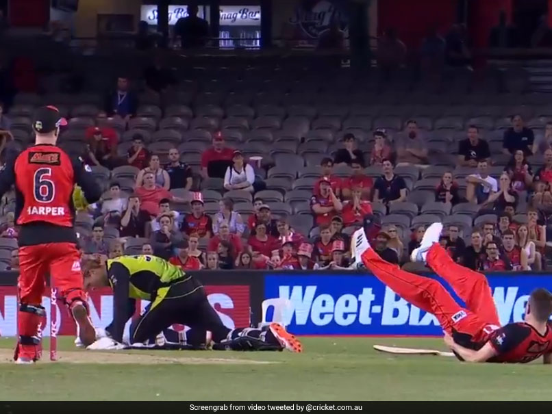 Bizarre Run-Out In Big Bash League Will Leave You In Splits. Watch