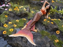 सनी लियोन बनीं जलपरी तो यो यो हनी सिंह ने कहा, 'मछली जल की रानी है'...Photo ने यूं बरपाया कहर सनी लियोन बनीं जलपरी तो यो यो हनी सिंह ने कहा, 'मछली जल की रानी है'...Photo ने यूं बरपाया कहर