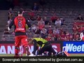 Bizarre Run-Out In Big Bash League Will Leave You In Splits. Watch Bizarre Run-Out In Big Bash League Will Leave You In Splits. Watch