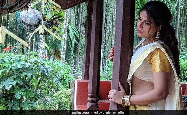 Richa Chadha's 12 Different Looks For <I>Shakeela</I> Calendar